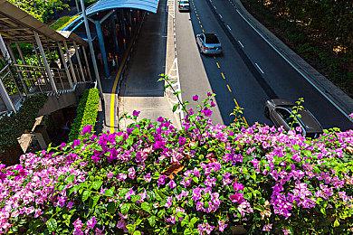 《因果动物园》Steam页面上线 年内发售